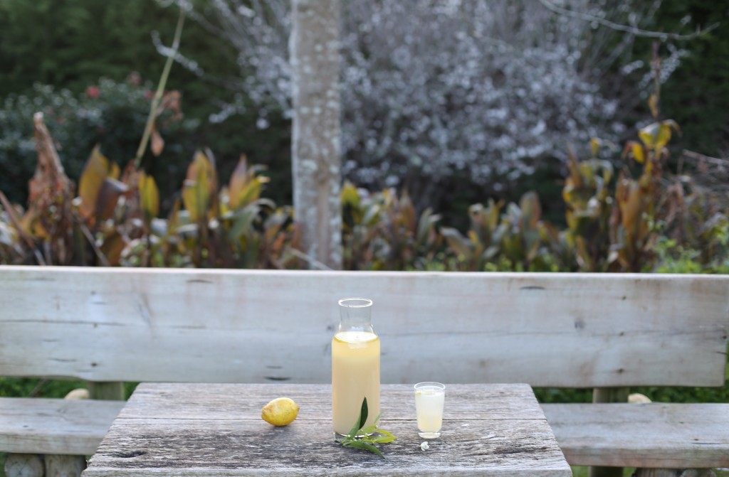 barley water table