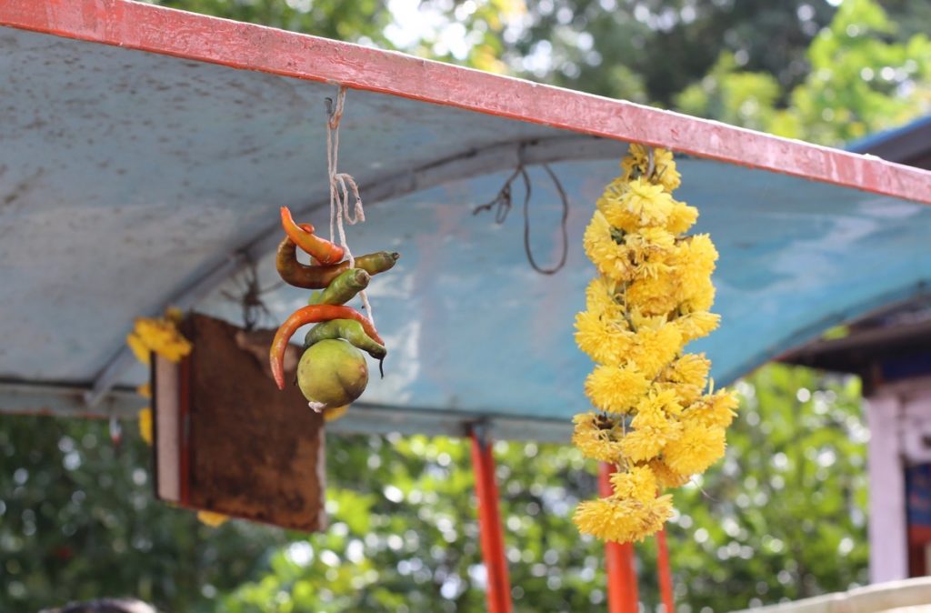 india - sugarcane juice - 1 (2)